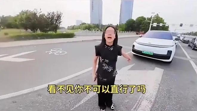 续：女司机气到流产公布完整行车记录仪凯发K8登录河北女司机与骑手冲突后(图6)